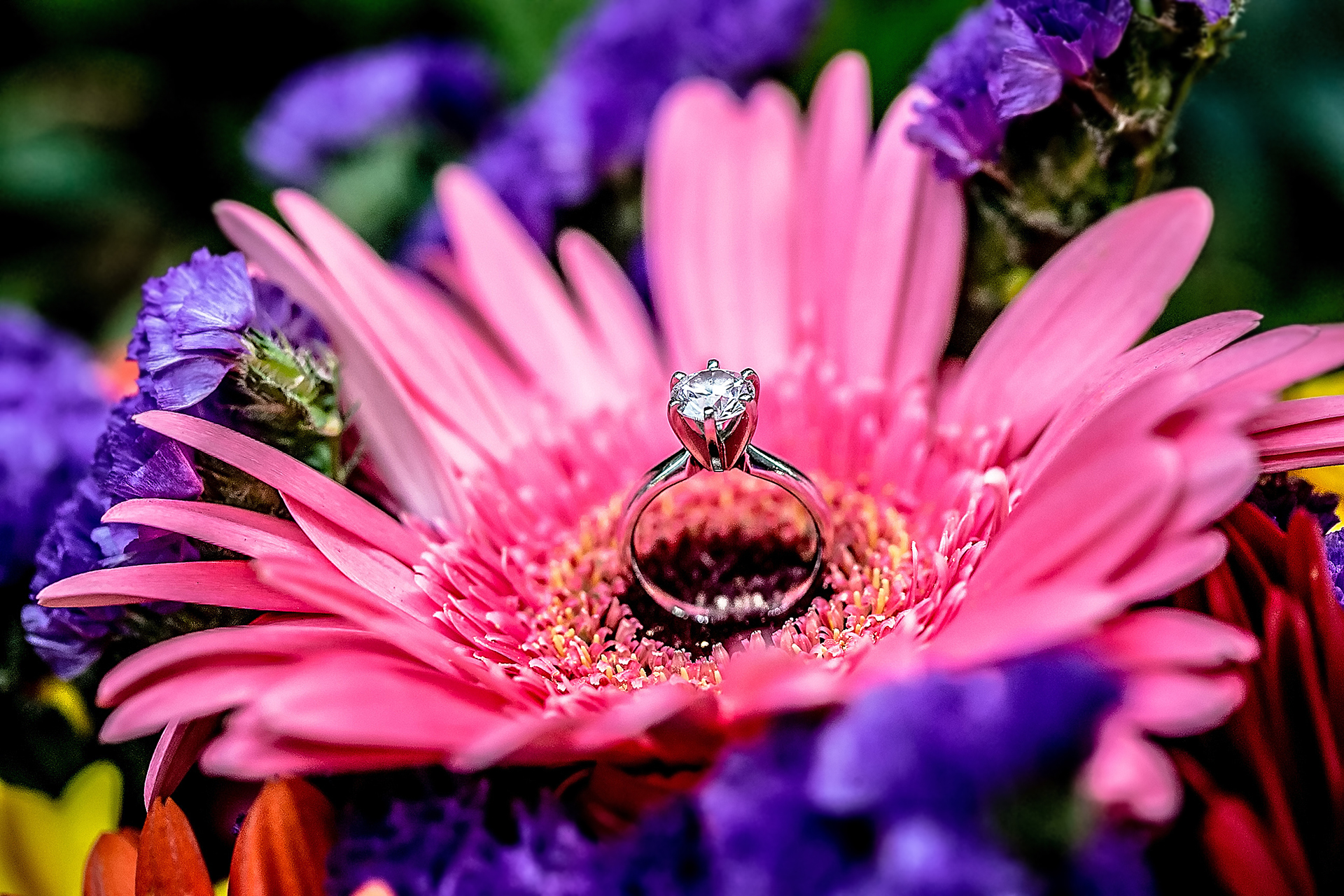 Engagement ring on a pink flower