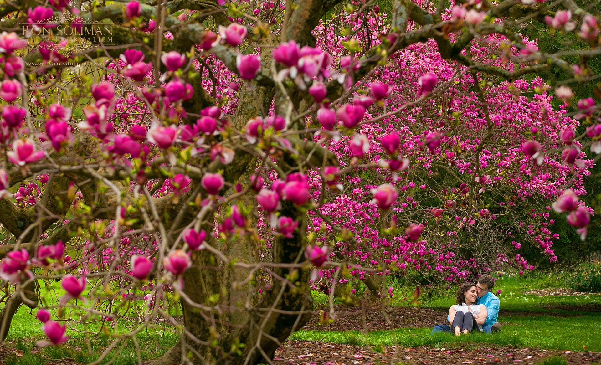 LONGWOOD GARDENS ENGAGEMENT photos