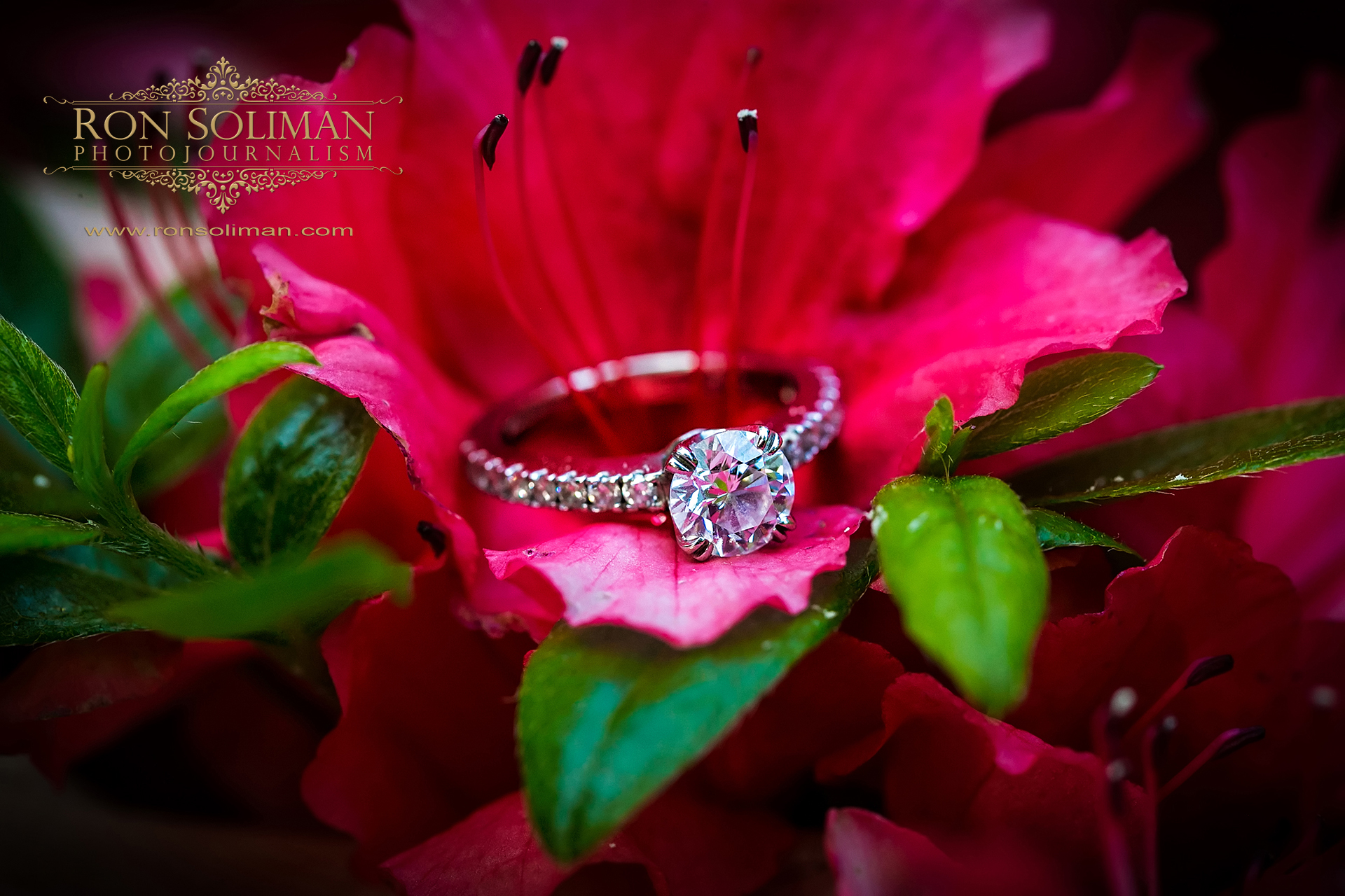 BEN FRANKLIN BRIDGE ENGAGEMENT photo