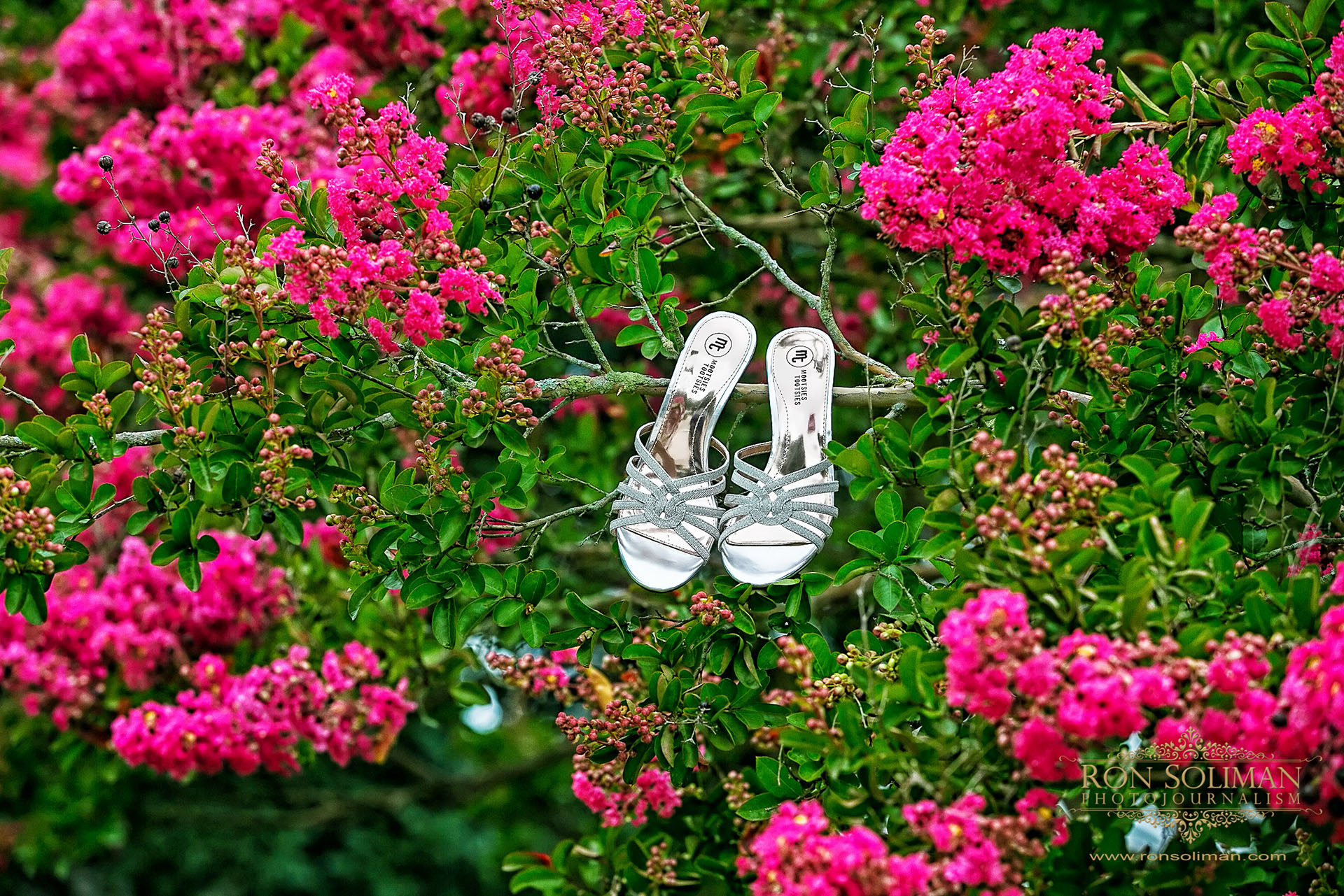 flowers around wedding shoes