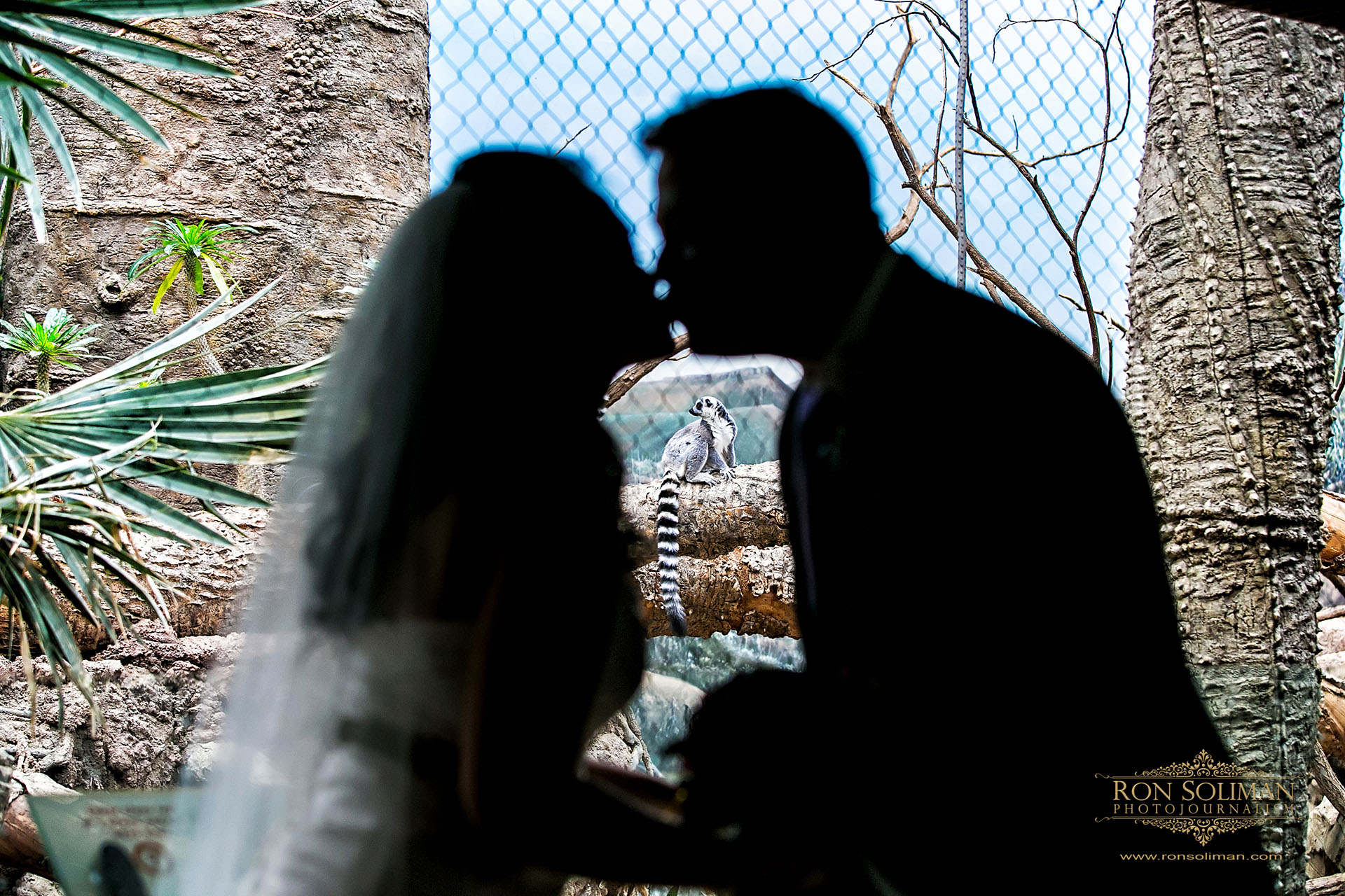 bronx zoo wedding 16