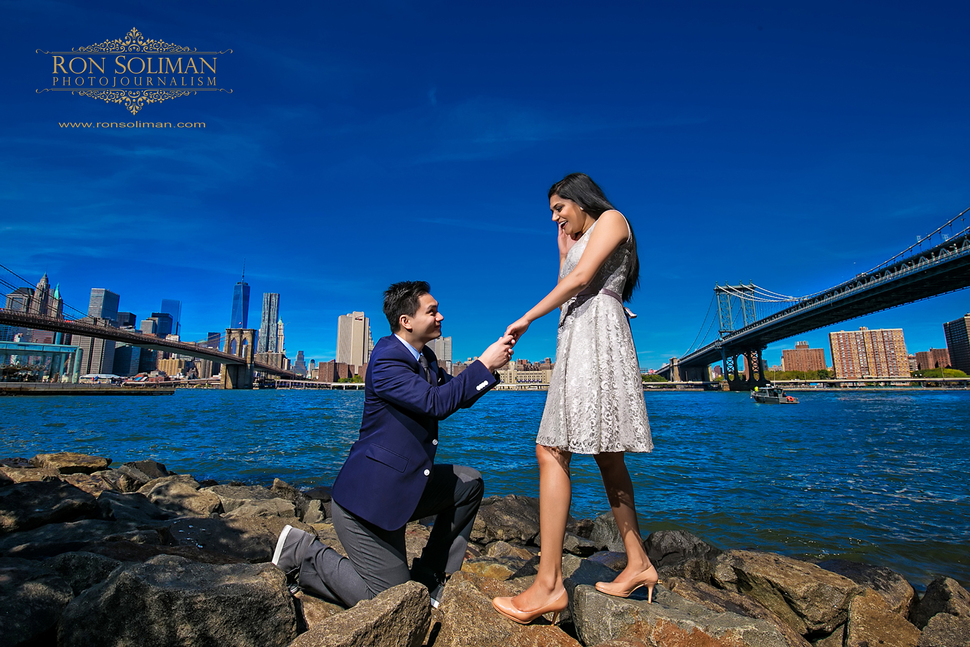 dumbo engagement photo