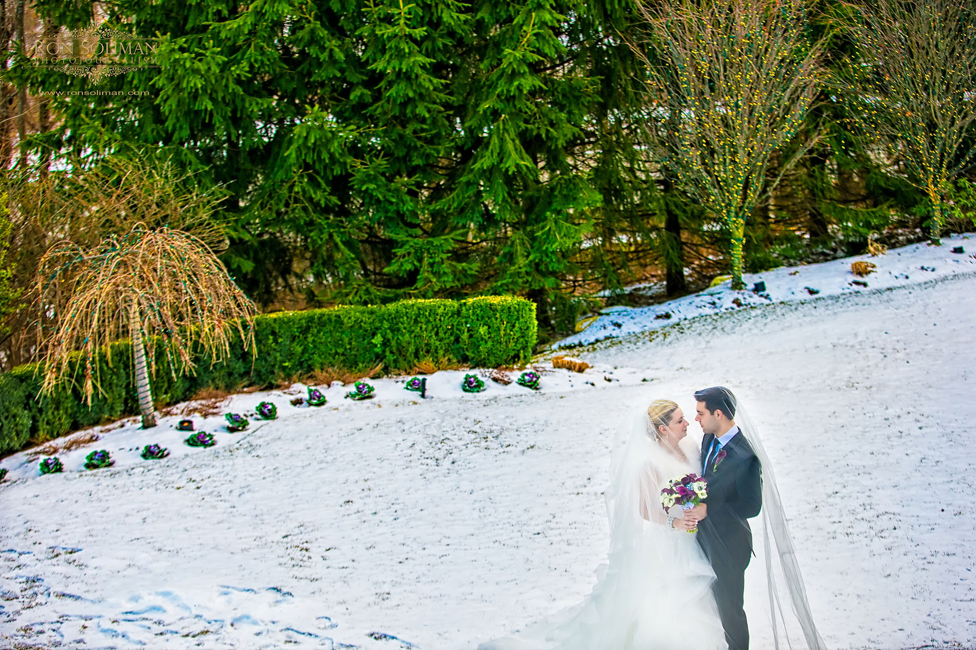 Snow wedding photos