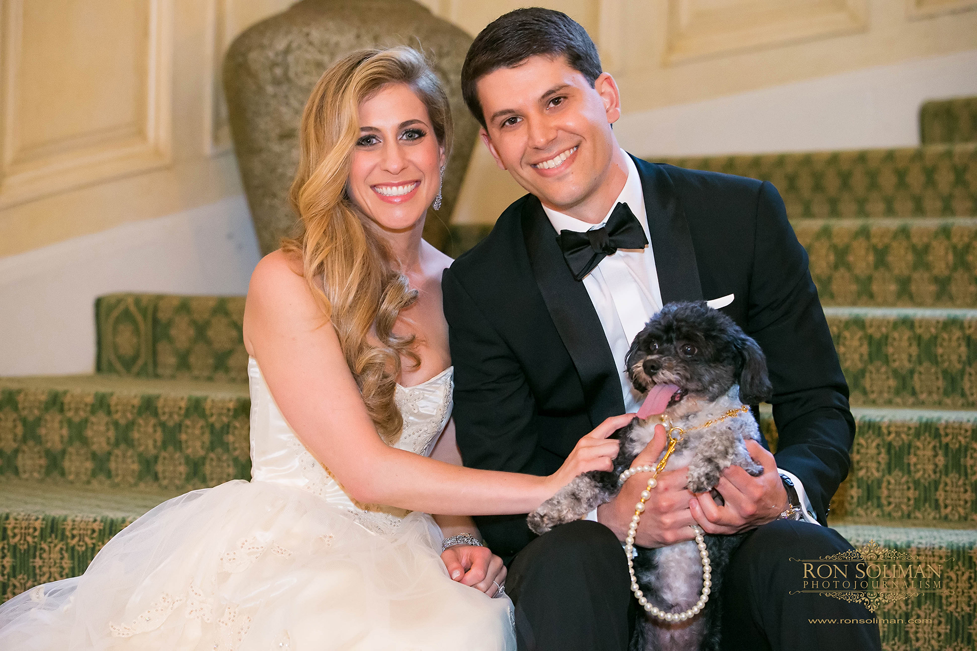 cutest pet wedding photo