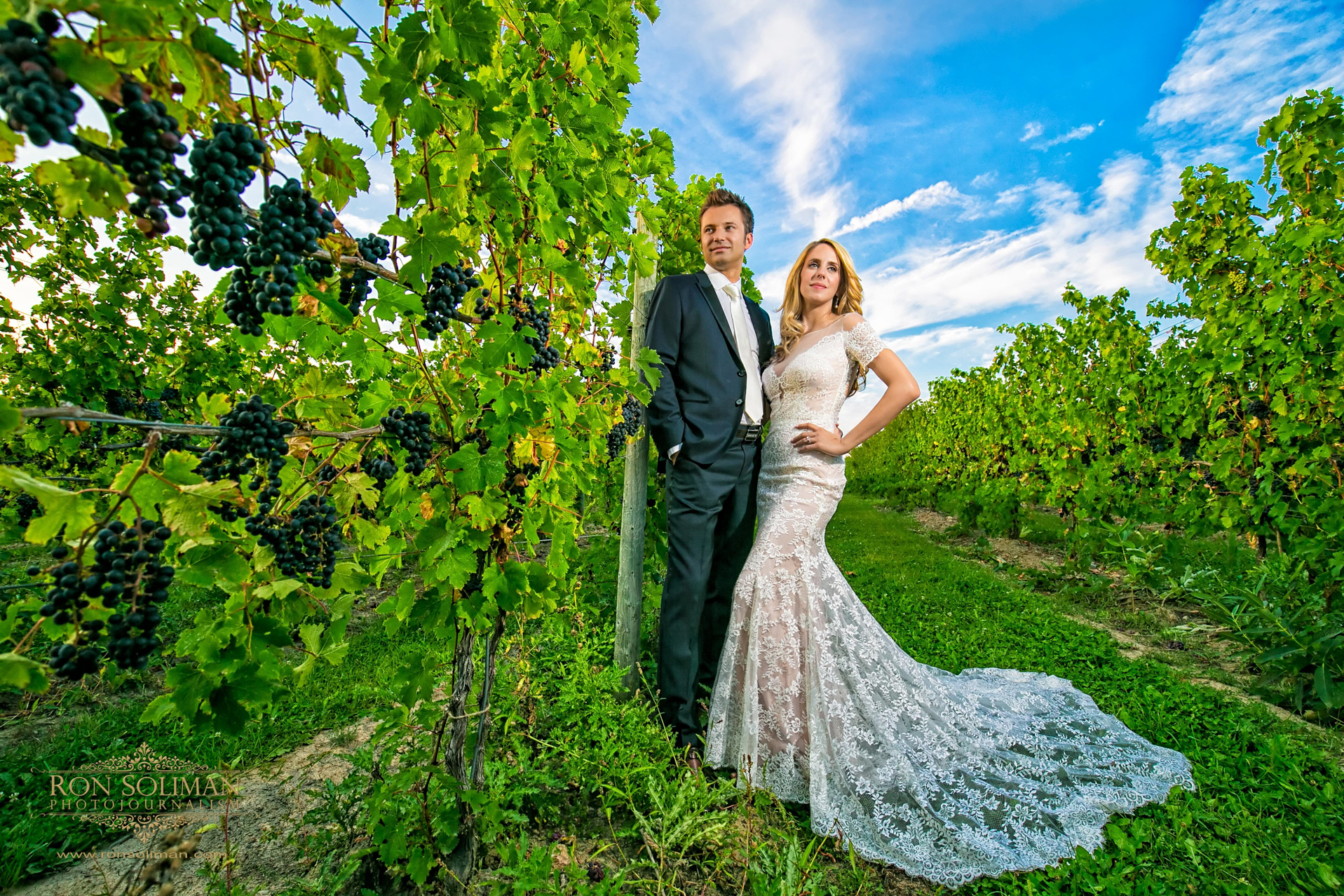 Ginny Lee Wagner Vineyards Wedding photos