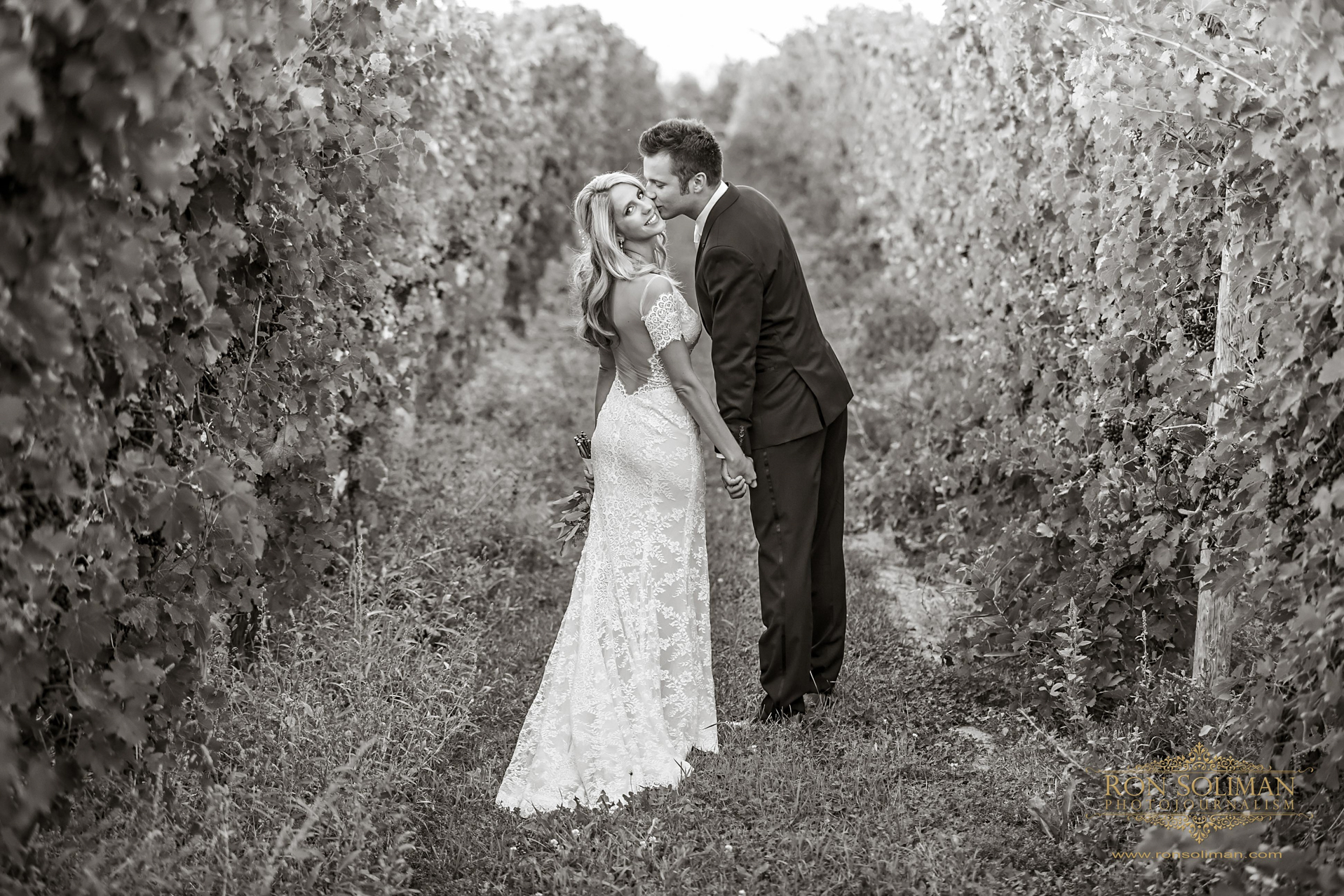 Ginny Lee Wagner Vineyards Wedding photos