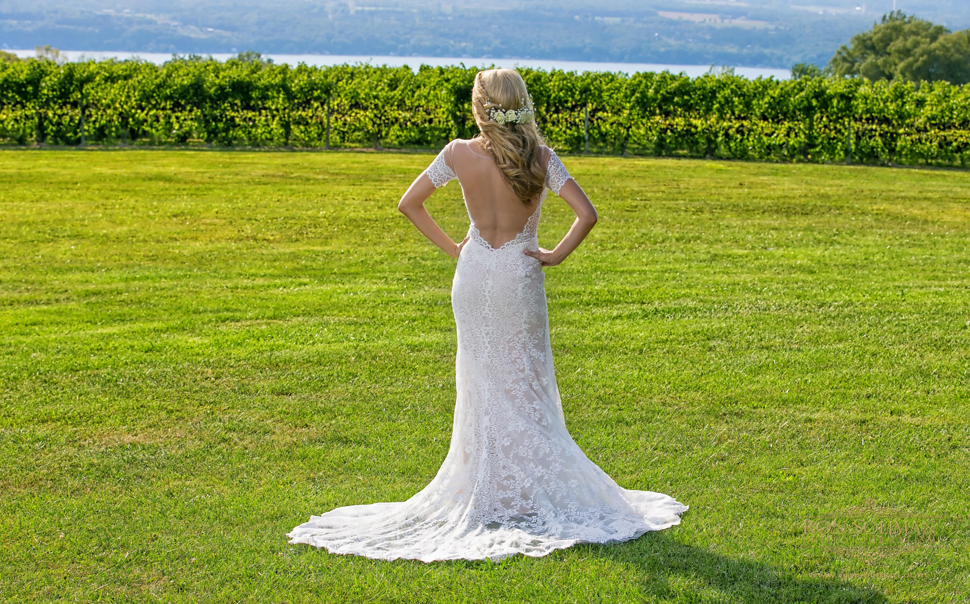 Vineyard wedding photos