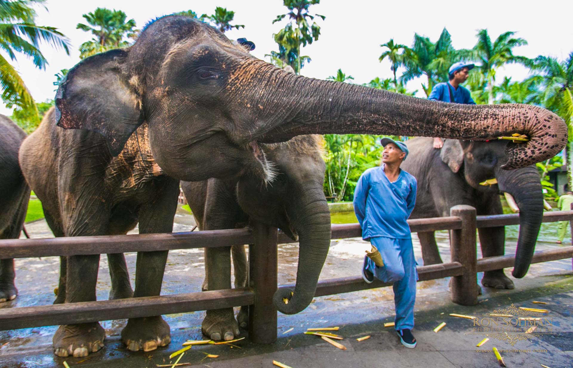 BALI INDONESIA 19