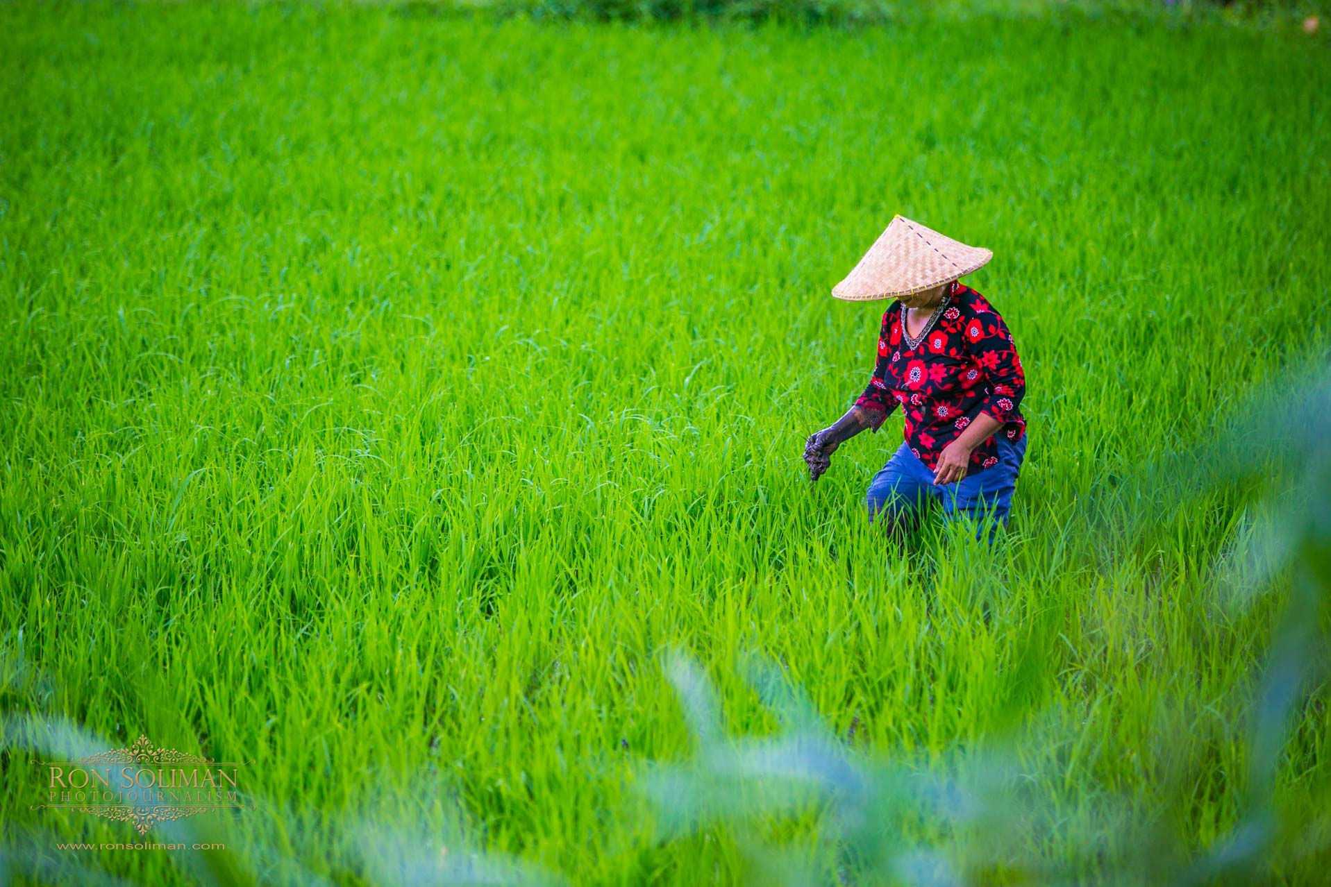 BALI INDONESIA 8