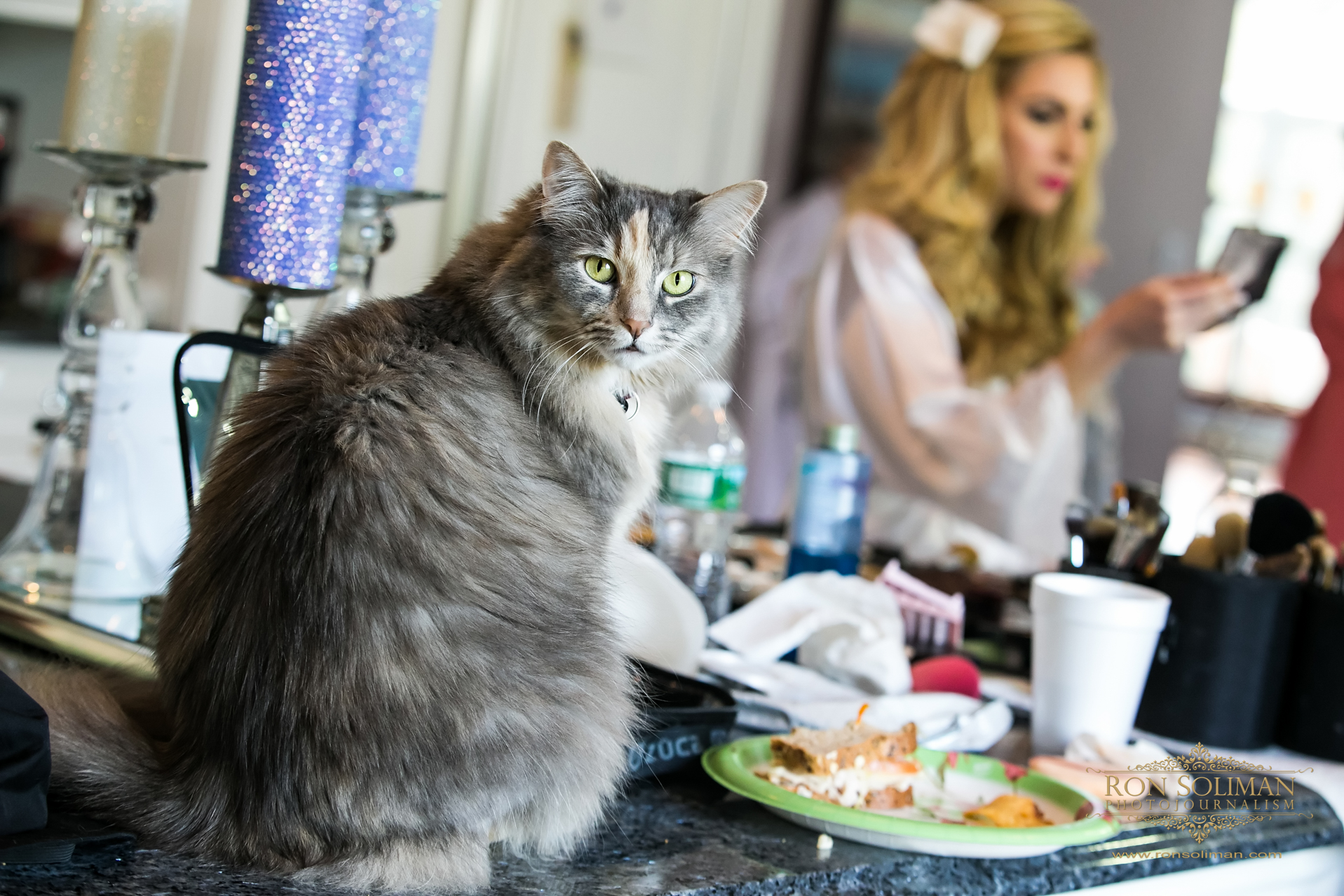 Curious Cat in Wedding Preparation | Rainbow Room New York Wedding Noel + Rob