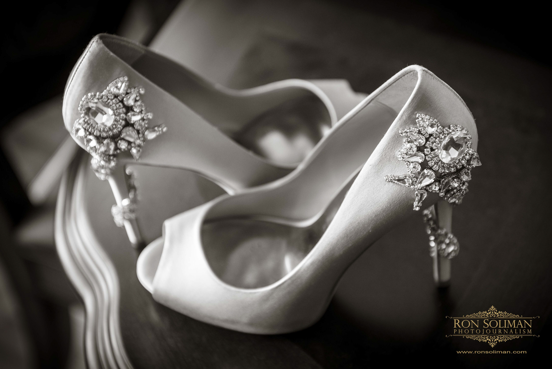 SPRING MILL MANOR WEDDING 004