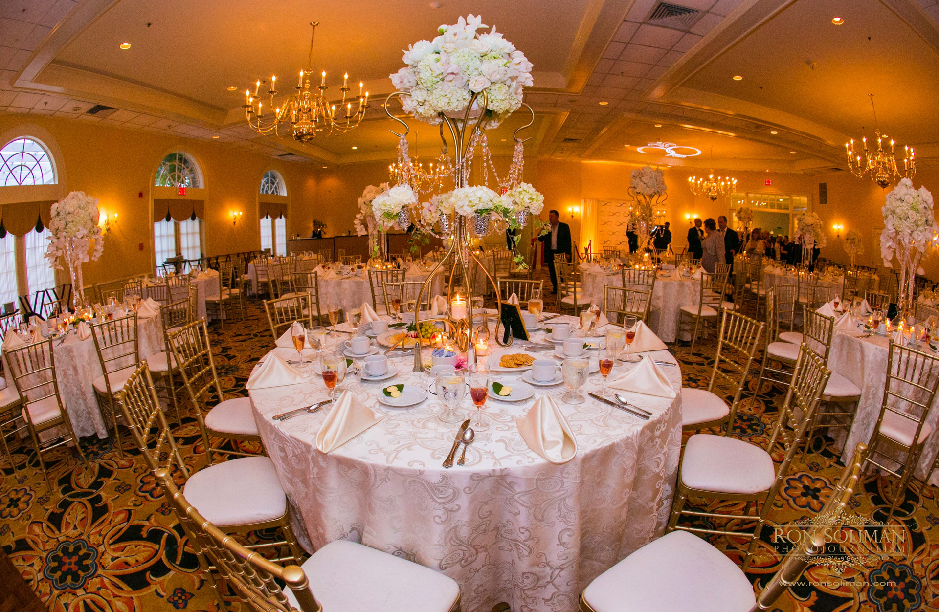 SPRING MILL MANOR WEDDING 049