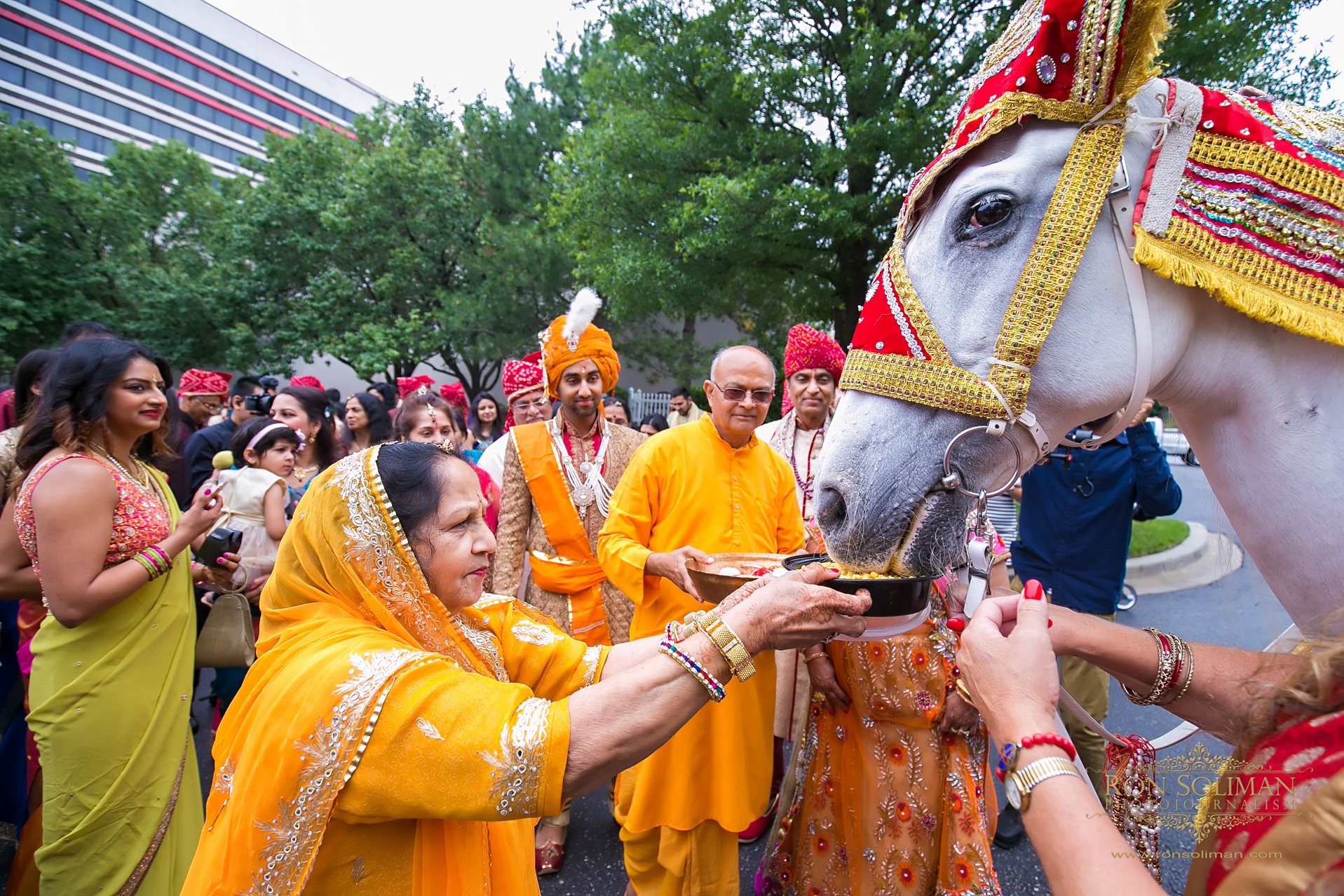 BWI Airport Marriot Hotel Indian Wedding 010