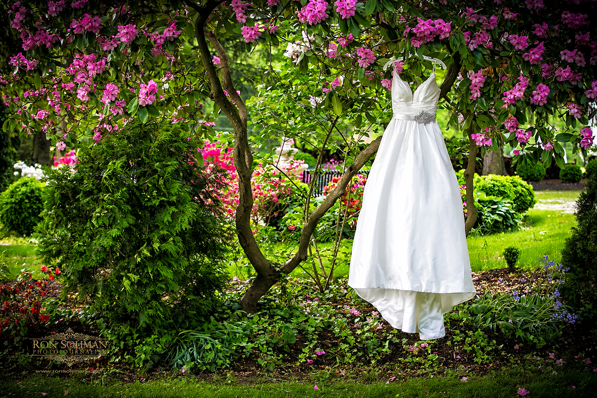 Wedding dress on a tree