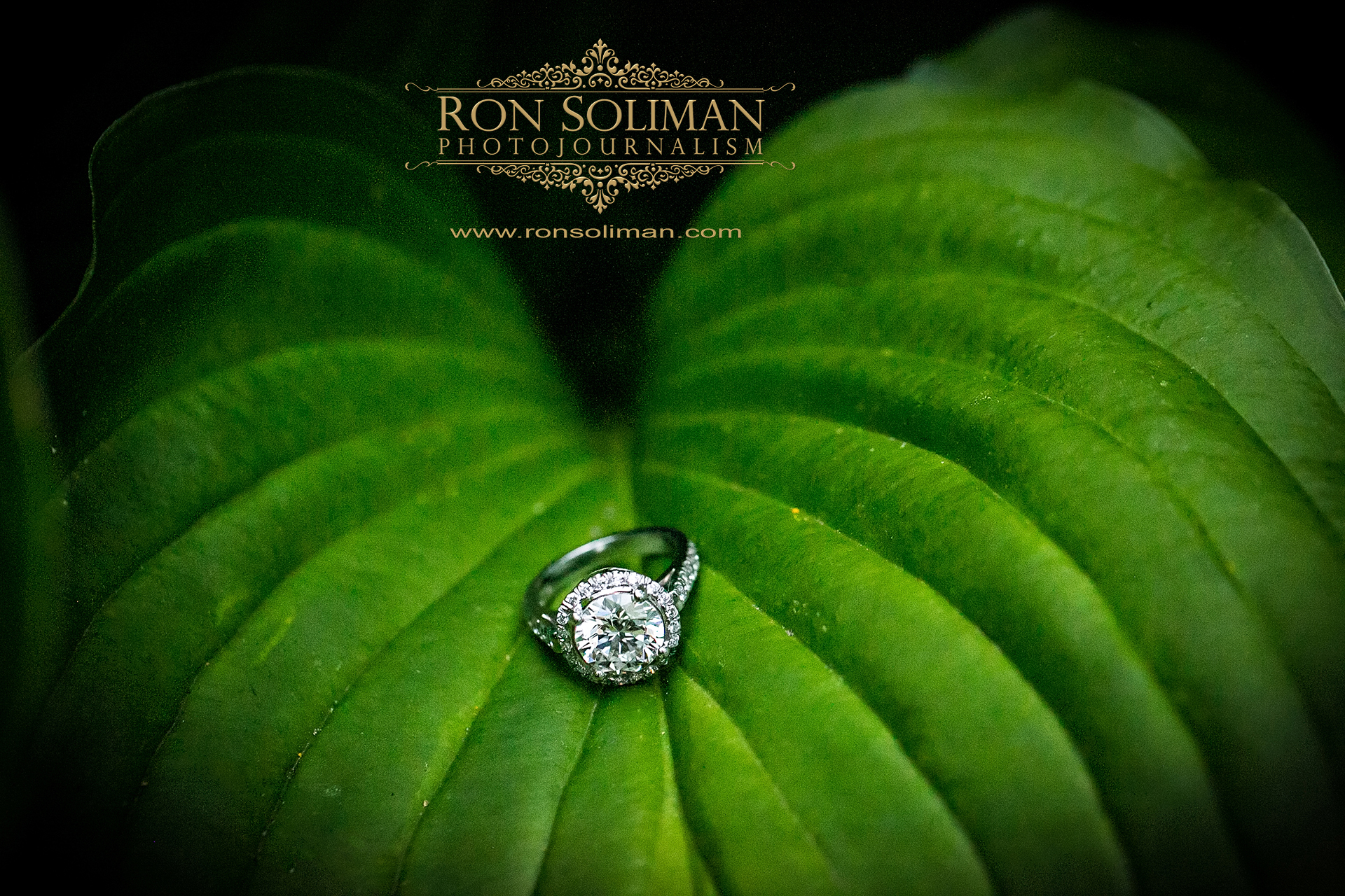 ENGAGEMENT RING ON A LEAF