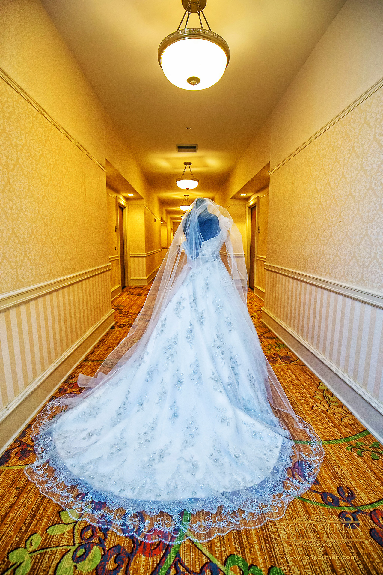 Maggie Sotero Wedding gown