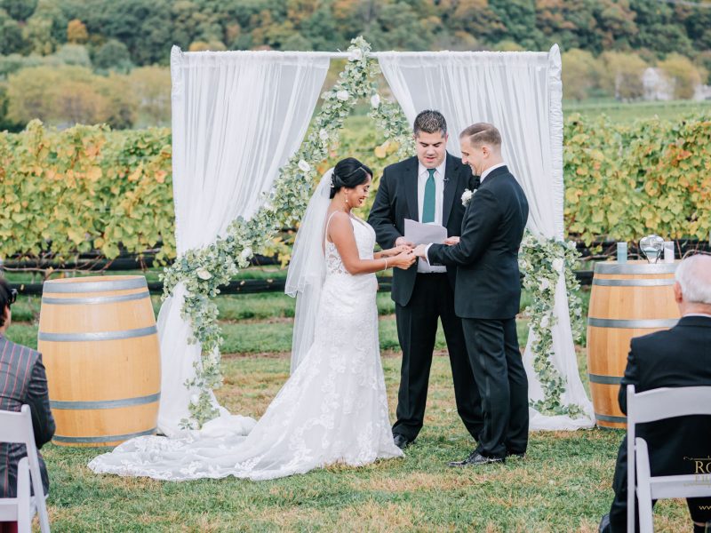 Benaduce Vineyards Wedding | Ayushi + Brian
