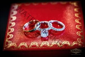 ANDALUSIA ESTATE WEDDING 26 1