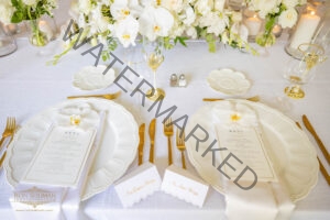 ANDALUSIA ESTATE WEDDING 35 1