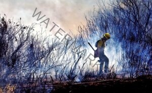 PHOTOJOURNALISM 24