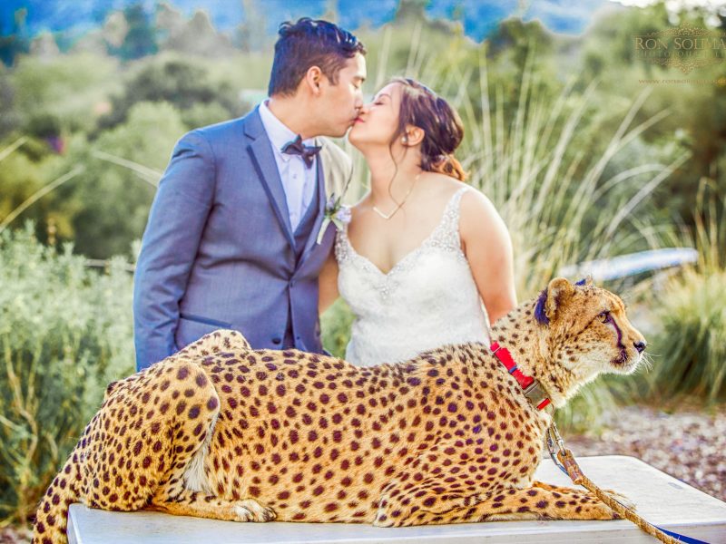 San Diego Zoo Safari Park Wedding | Jessica + Jan