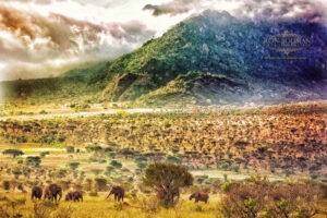 KENYA DESTINATION WEDDING 10