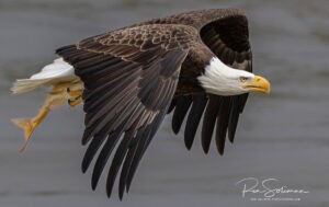 PHOTOGRAPHY TRAINING 4